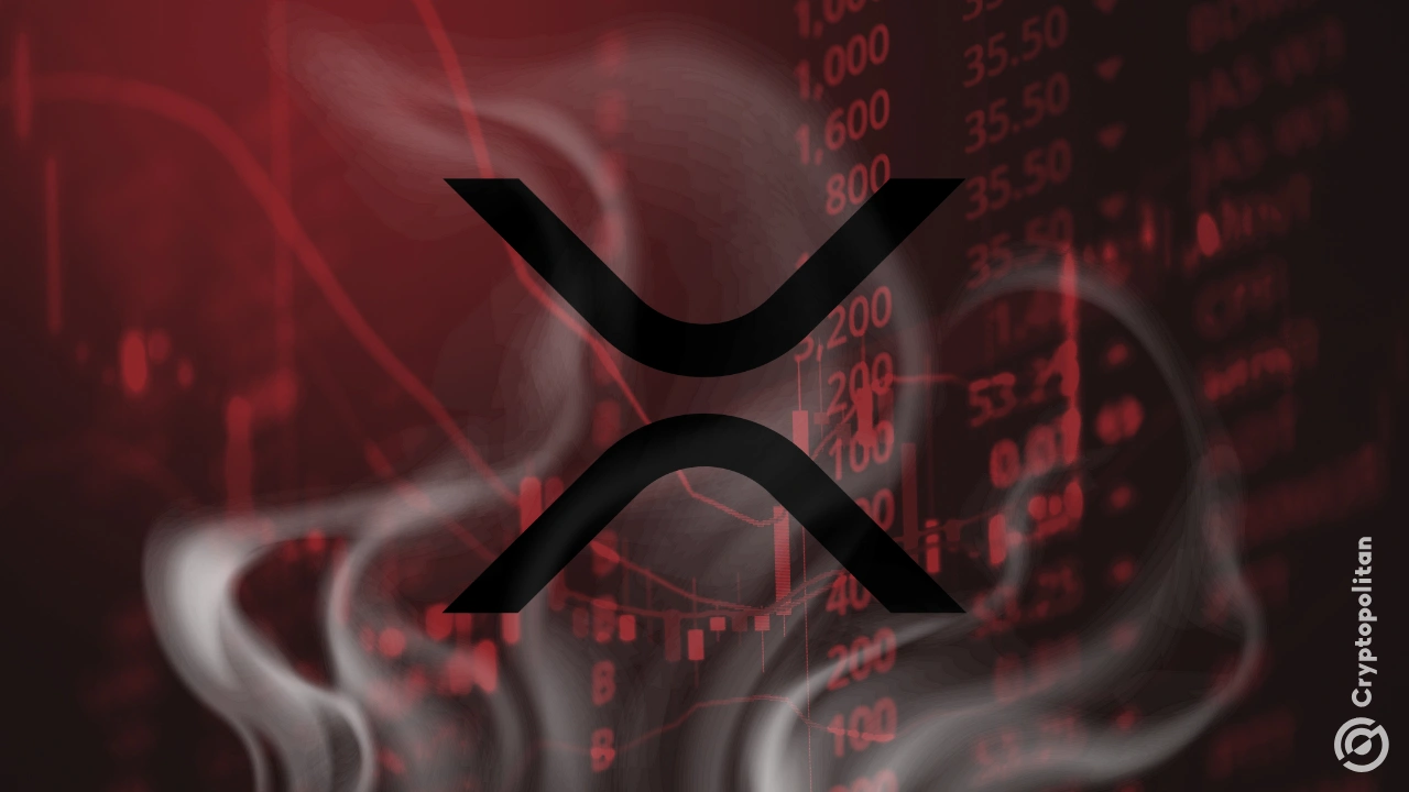 XRP攀升势惊人,一夜飙升TRON%,加密市场沸腾的简单介绍 XRP攀升势惊人,一夜飙升TRON%,加密市场沸腾的简单介绍