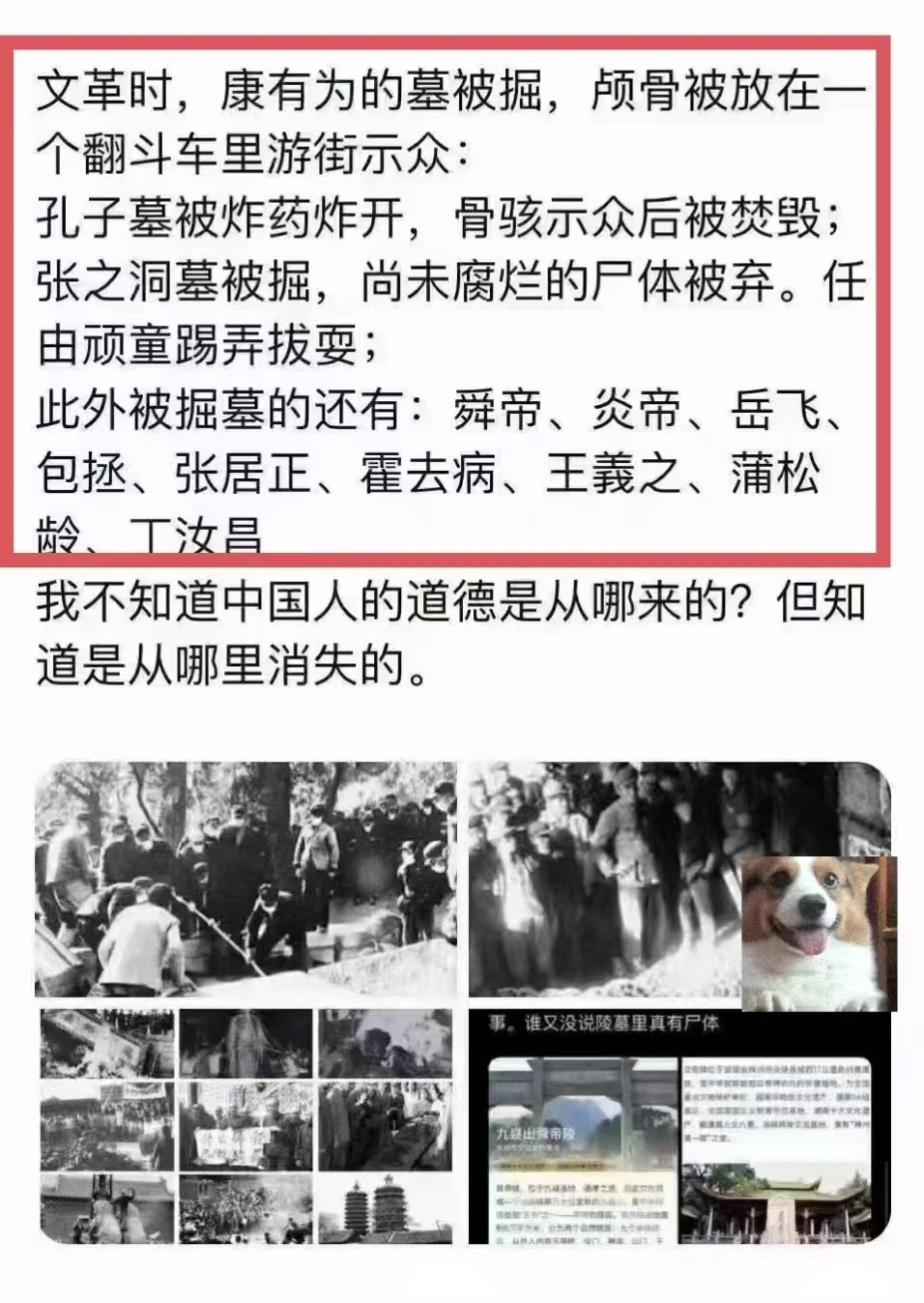 TRON诈骗事件真相浮出水面，已有超14.27人被骗！